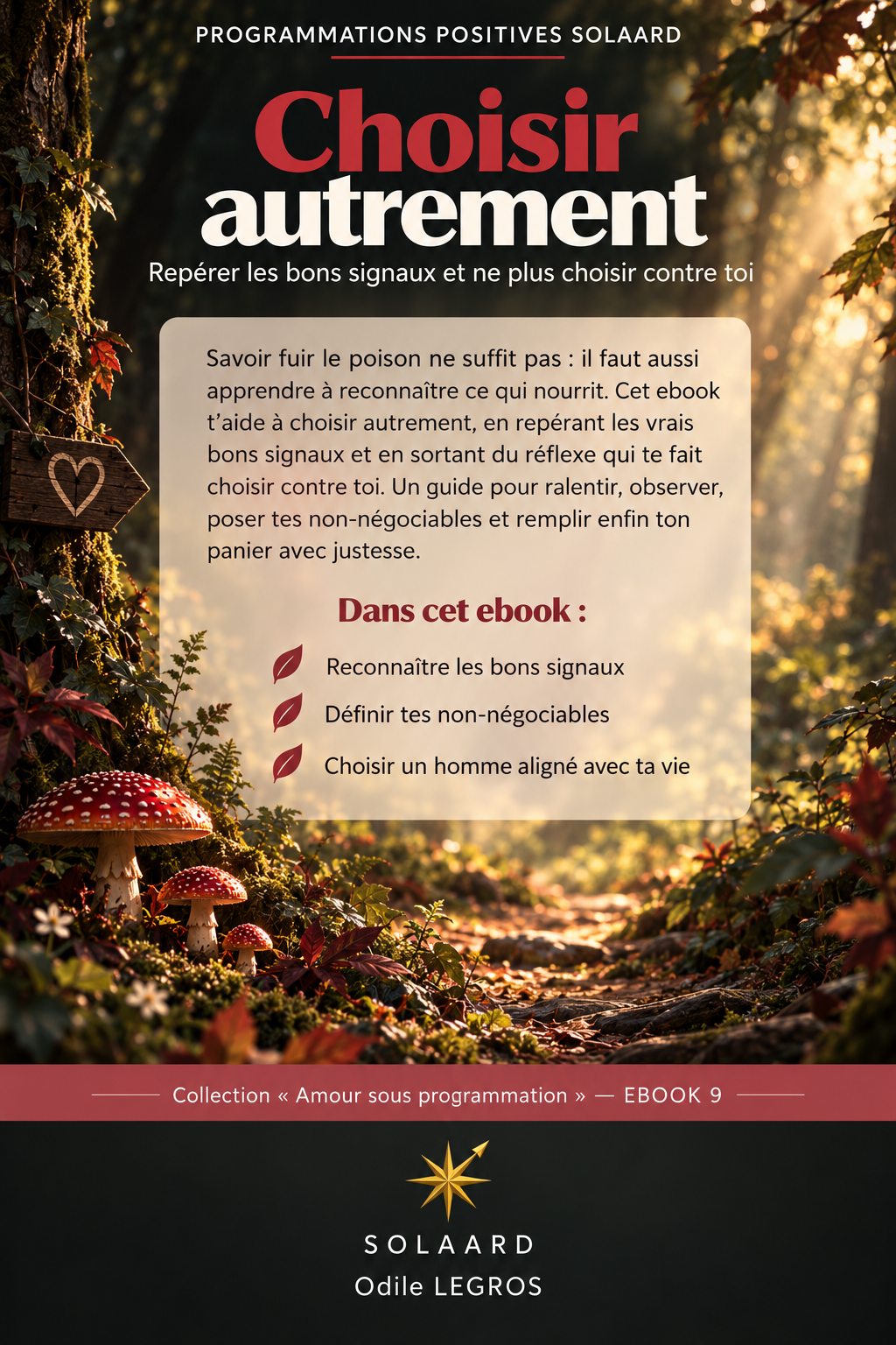 A9_ Amour sous programmation - Choisir autrement